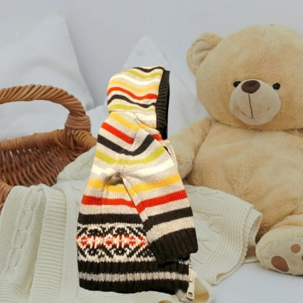Gymboree Baby Hooded Sweater
